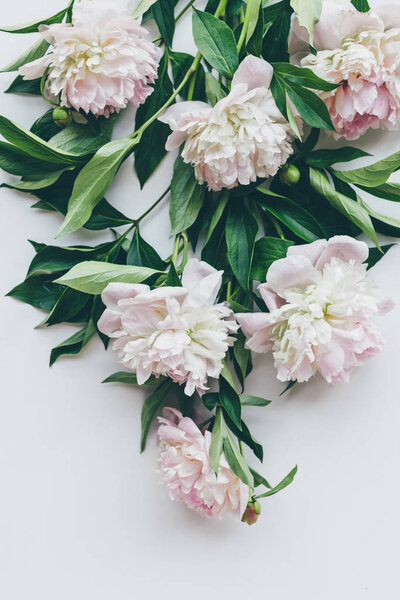 top view of bouquet with light pink peonies with leaves on white