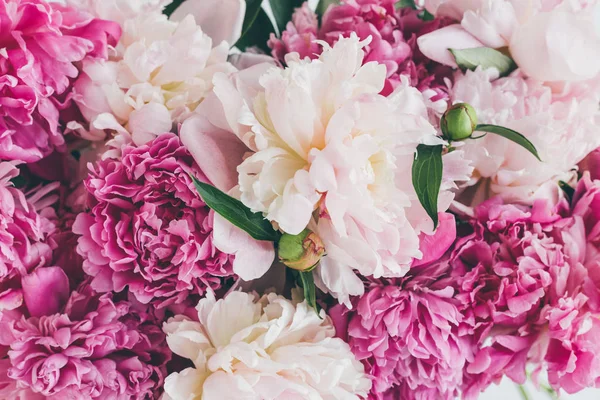 Bovenaanzicht Van Roze Pioen Bloemen Textuur — Stockfoto