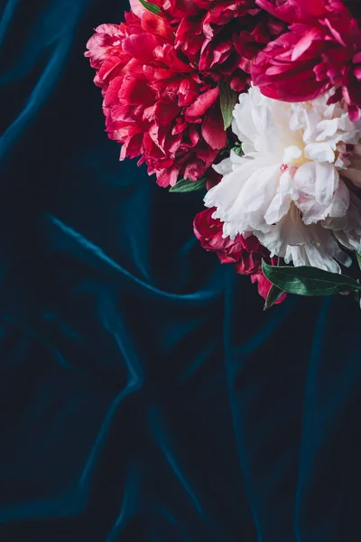 Vista Superior Una Peonía Rosa Flores Tela Oscura —  Fotos de Stock