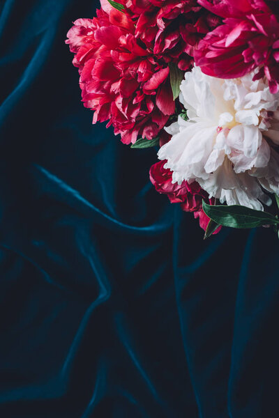 top view of one pink peony flowers on dark cloth