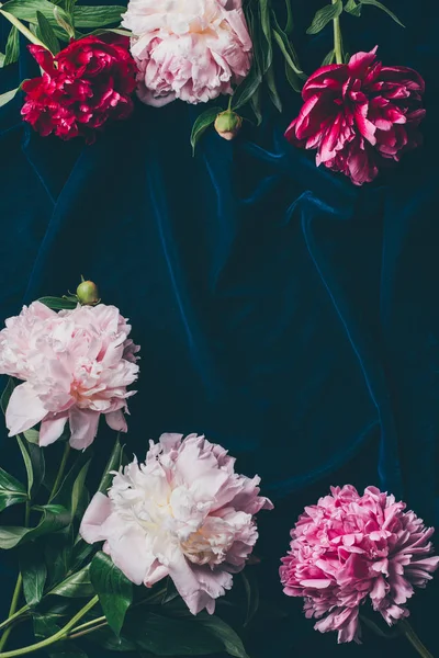 Pembe Peonies Üstten Görünüm Kopya Alanı Ile Koyu Kumaş Üzerine — Stok fotoğraf