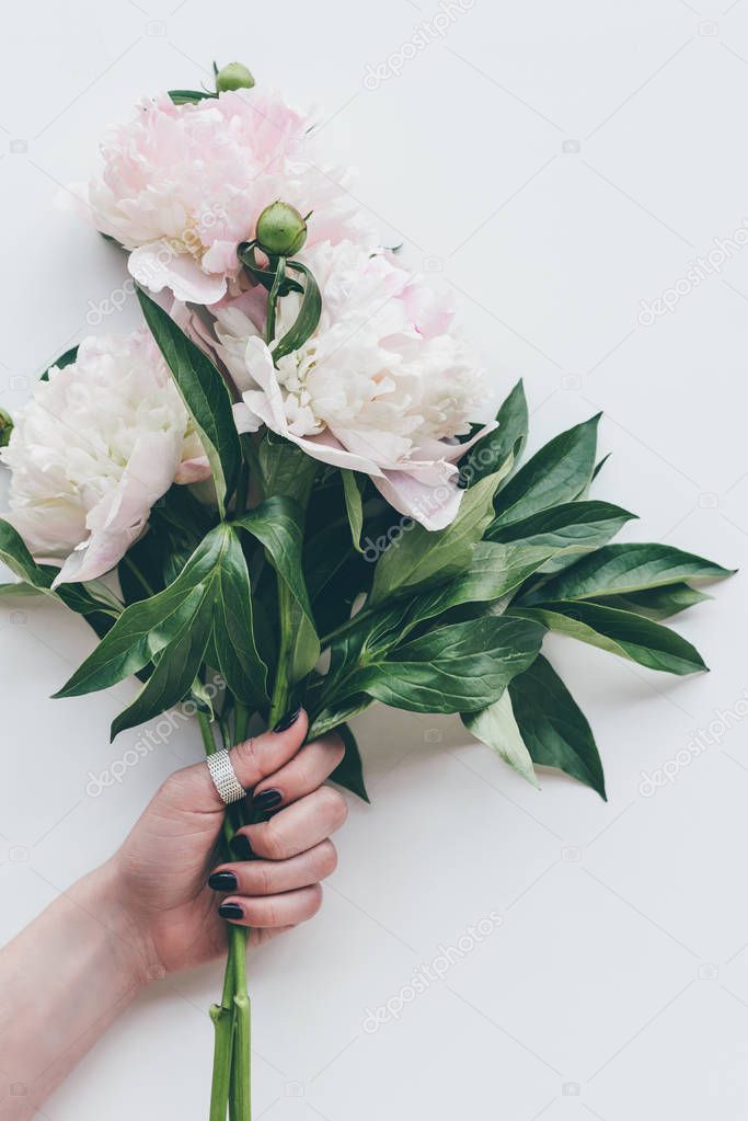cropped view of woman holding light pink peony bouquet on white