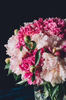 koyu arka plan üzerinde güzel pembe peonies buket