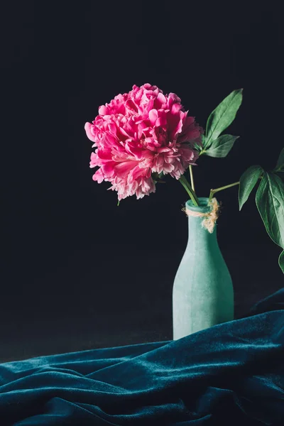 Una Flor Peonía Rosa Jarrón Sobre Fondo Oscuro —  Fotos de Stock