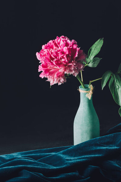one pink peony flower in vase on dark background