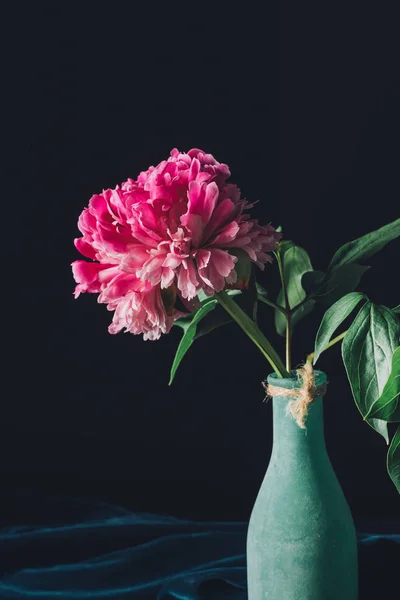 Pembe Bahar Peony Çiçek Vazoda Koyu Arka Plan Üzerinde — Ücretsiz Stok Fotoğraf