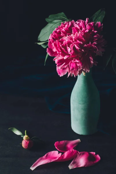 Рожева Квітка Півонії Вазі Пелюстками Темному Фоні — стокове фото