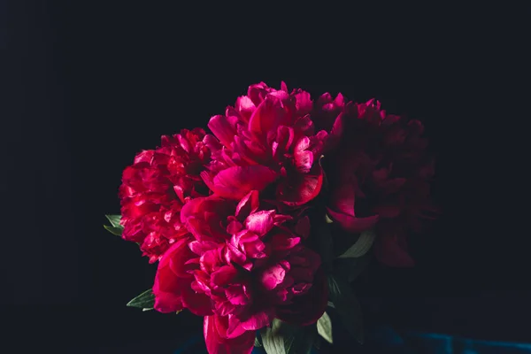 Bouquet Peonia Rosa Isolato Nero — Foto Stock