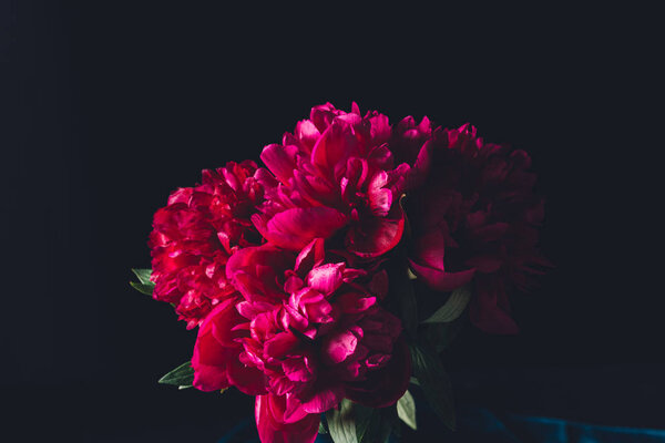 pink peony bouquet, isolated on black