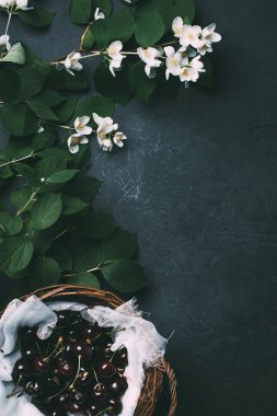 beyaz çiçek yasemin çiçekleri ve siyah sepette olgun tatlı kiraz  