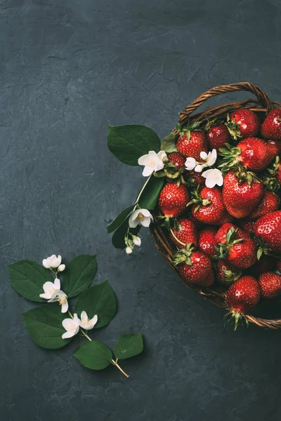 Top View Beautiful Jasmine Flowers Fresh Ripe Strawberries Basket Black — Stock Photo, Image
