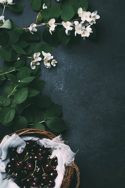 White Blooming Jasmine Flowers Ripe Sweet Cherries Basket Black — Stock Photo, Image