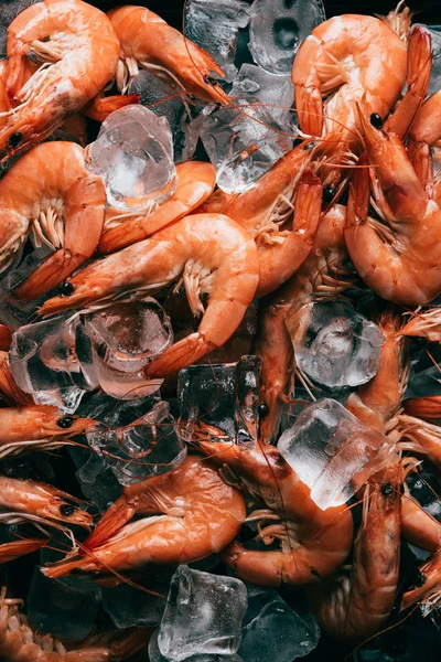 Elevated View Pile Shrimps Ice Cubes — Stock Photo, Image