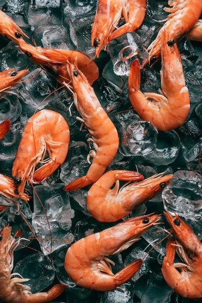 View Pile Shrimps Ice Cubes — Stock Photo, Image