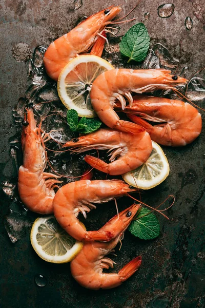 Top View Shrimps Lemon Slices Mint Leaves Melting Ice — Stock Photo, Image