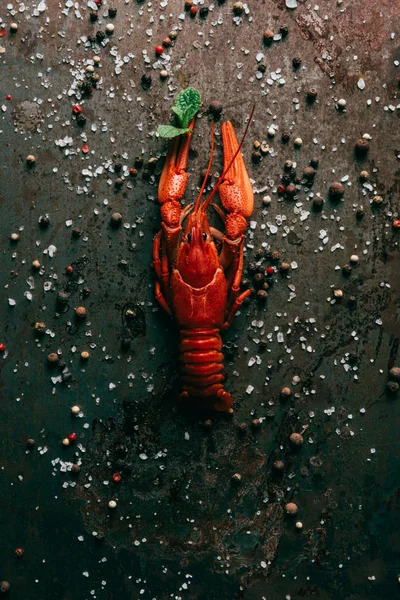 Top View Crayfish Mint Rustic Table Salt Black Pepper — Stock Photo, Image