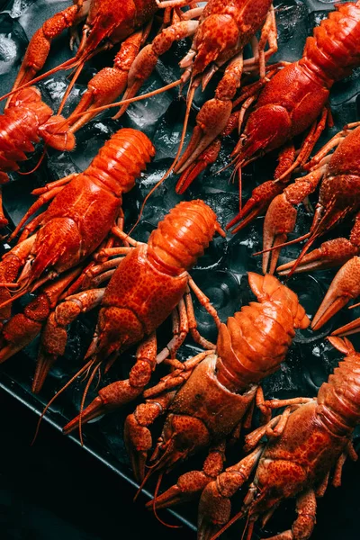 烤盘上放冰块的 Crayfishes 桩的顶部视图 — 图库照片