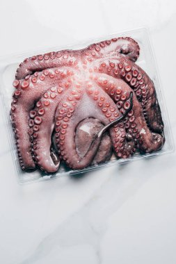 top view of uncooked octopus in plastic container on marble surface clipart