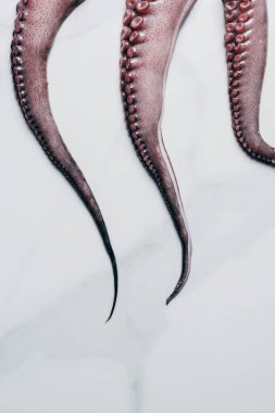 Ahtapot tentacles ile üstten görünüm ışık mermer yüzeyi