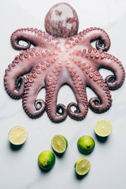 top view of big octopus and limes on light marble surface clipart
