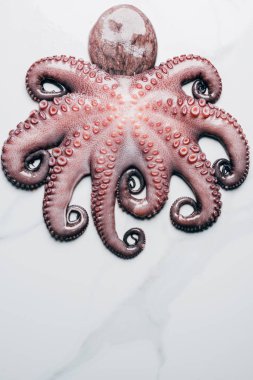 top view of big uncooked octopus on light marble surface clipart