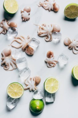 limes ve buz küpleri ile küçük ahtapot üstten görünüm ışık mermer yüzeyi