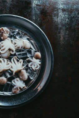 metal plaka buz küpleri ile küçük ham ahtapot üstten görünüm paslı yüzeyi