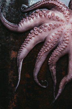 büyük ham ahtapot tentacles üstten görünüm paslı metal yüzeyi