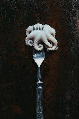 top view of little raw octopus on fork on rusty metal surface clipart