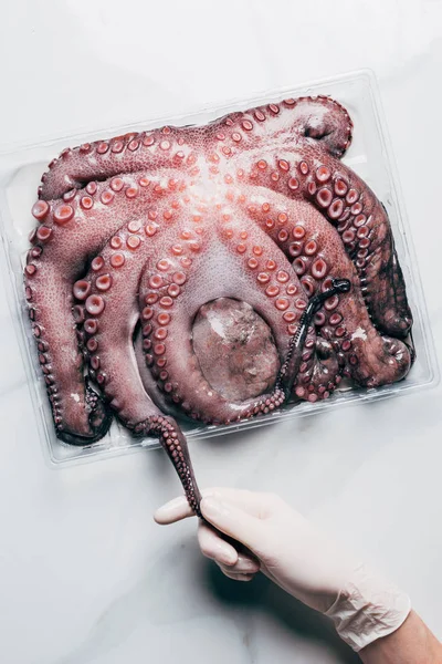 光の大理石の表面のプラスチック容器に大きな生蛸の手の上から見る — ストック写真