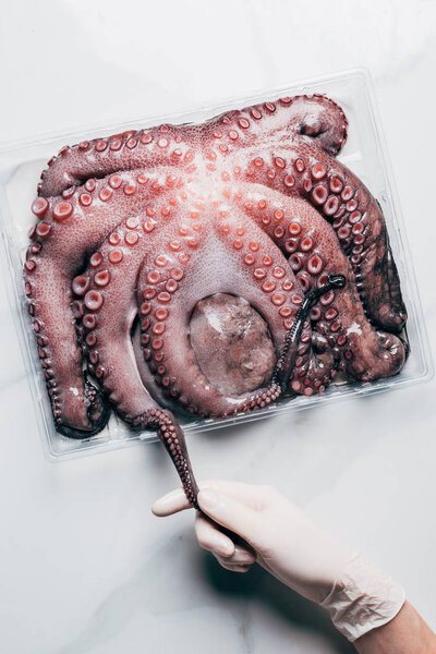 top view of hand with big raw octopus in plastic container on light marble surface
