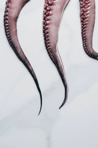 Ovanifrån Bläckfisk Med Tentakler Ljus Marmor Yta — Stockfoto