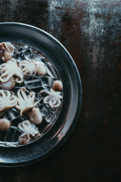 Top View Little Raw Octopuses Ice Cubes Metal Plate Rusty — Stock Photo, Image