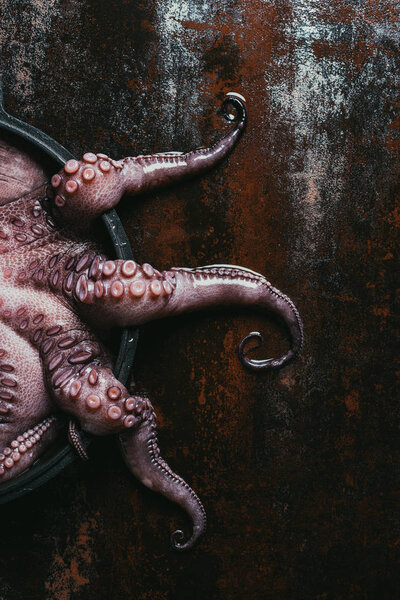 top view of uncooked octopus in saucepan on rusty metal surface