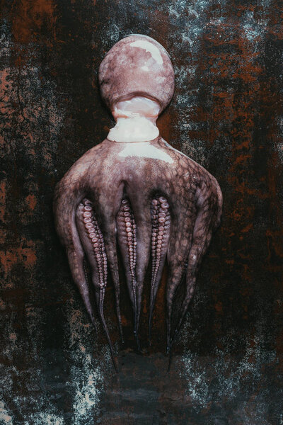 top view of big wet uncooked octopus on rusty metal surface