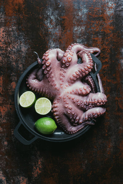 top view of raw octopus with limes in saucepan on rusty metal surface