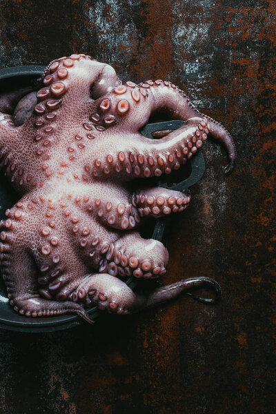 top view of uncooked octopus in saucepan on rusty surface