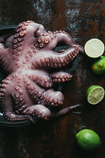 top view of big raw octopus in saucepan on rusty surface with fresh limes 