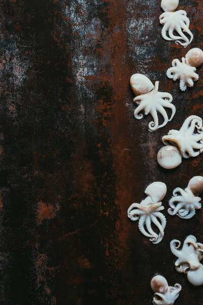 top view of raw little octopuses on rusty metal surface with copy space