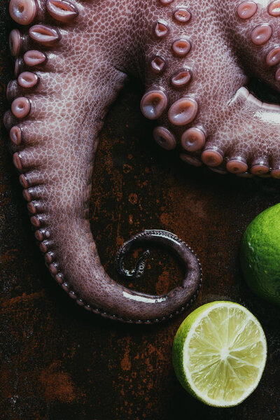 top view of fresh octopus with limes on rusty surface