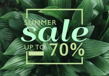 Full frame image of hosta leaves with summer sale discount in frame clipart