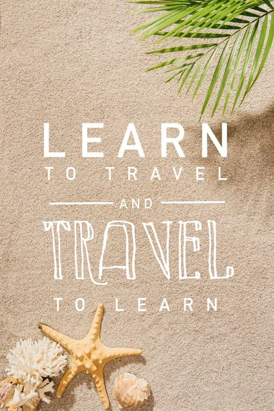 旅行することを学ぶ 学ぶ旅 で砂浜にヤシの枝の平面図レタリング — ストック写真