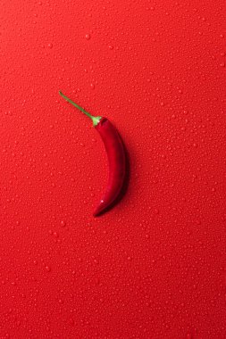 top view of one red chili pepper on red surface with water drops clipart
