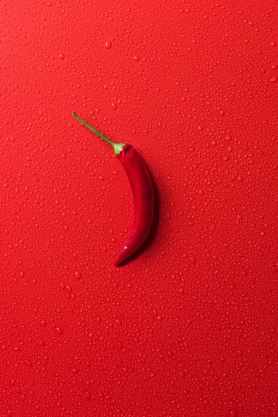 Top View One Red Chili Pepper Red Surface Water Drops — Stock Photo, Image