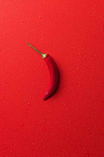 top view of one red chili pepper on red surface with water drops