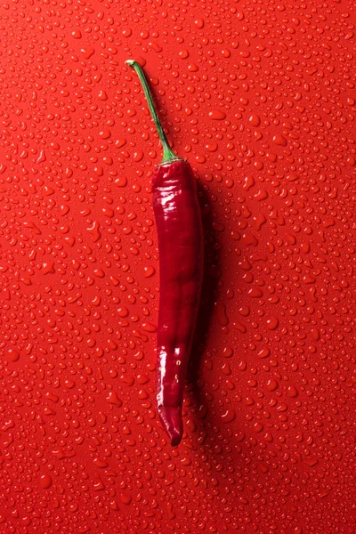 Ovanifrån Röd Chili Peppar Röd Yta Med Vatten Droppar — Stockfoto