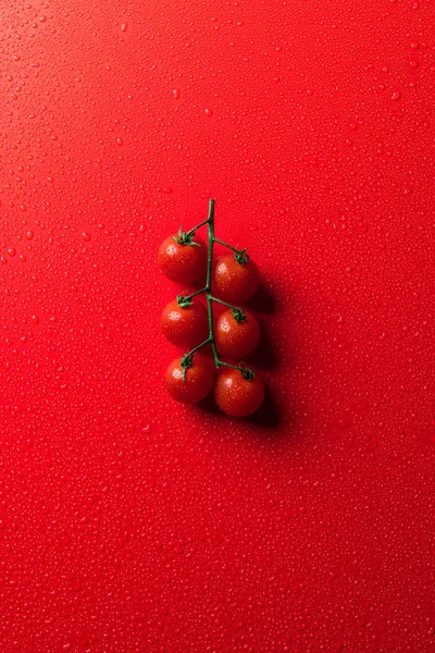 top view of cherry tomatoes on red surface with water drops
