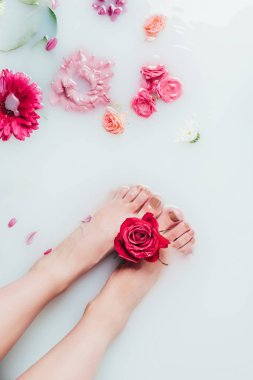 kısmi görünümü süt güzel renkli çiçekler ve kadın ayakları