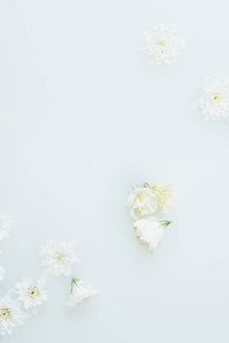 top view of arranged beautiful white flowers in milk clipart