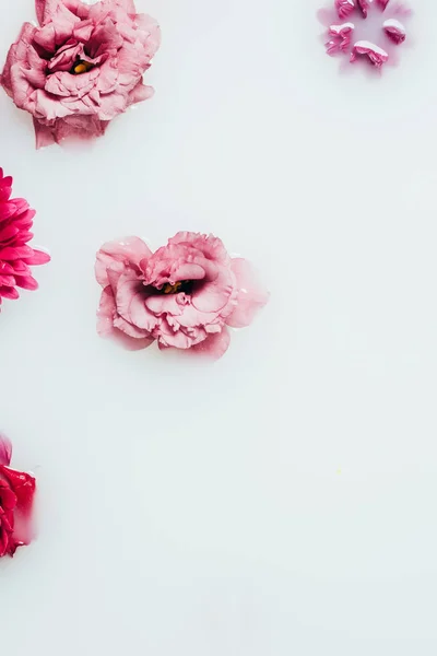 Top View Beautiful Roses Chrysanthemum Gerbera Flowers Milk Backdrop — Free Stock Photo